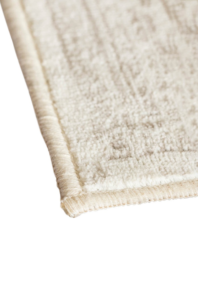 Viscose Rug 1557-071 - Close Up