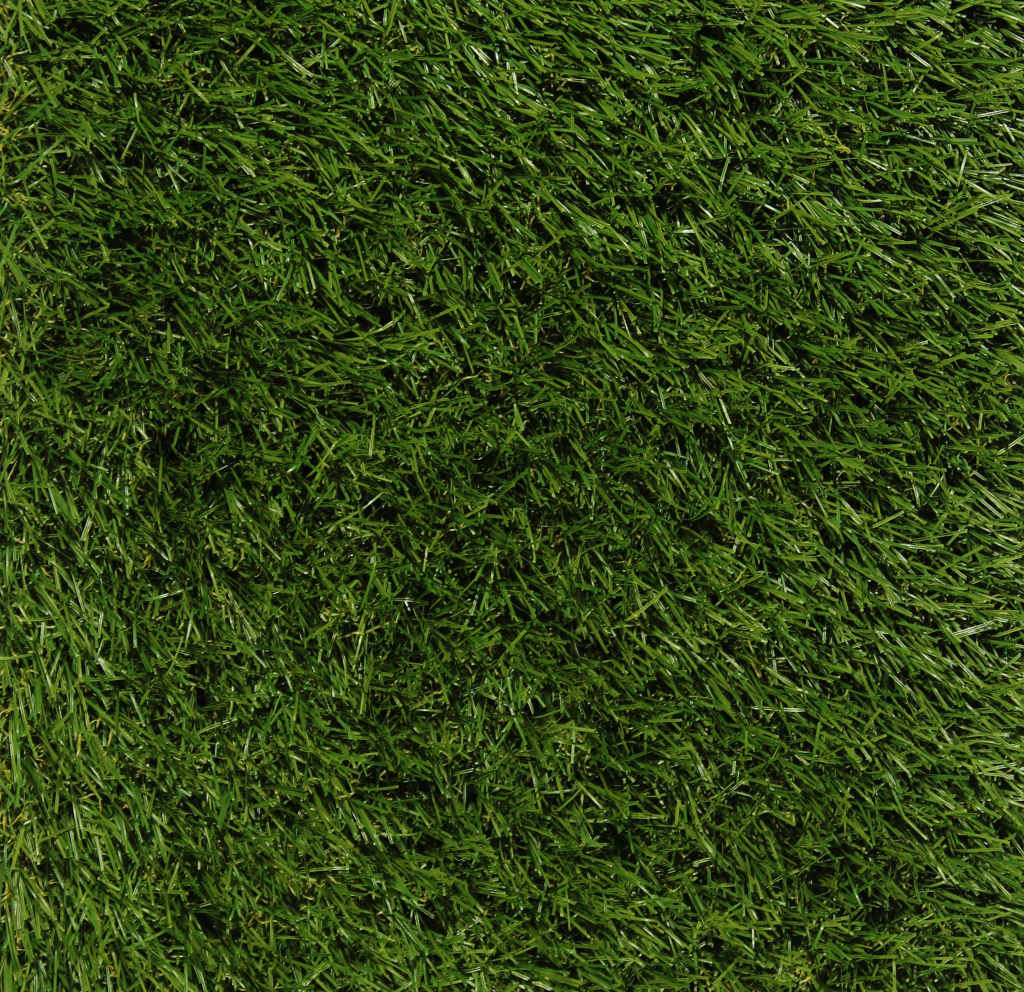 Lockweave Grasslands Verve 28