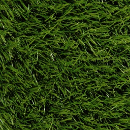 [GRASS-L-VER035] Lockweave Grasslands Verve 35